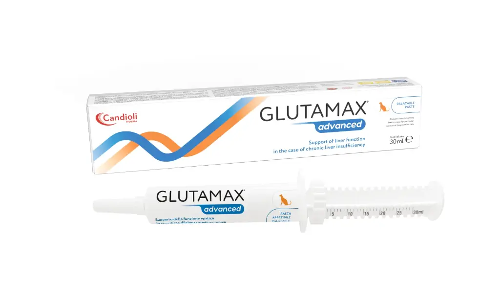 Glutamax Advanced - Paste