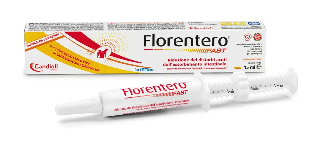 Florentero FAST - Paste 