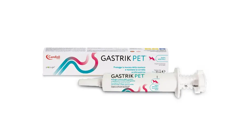 Gastrik Pet - paste
