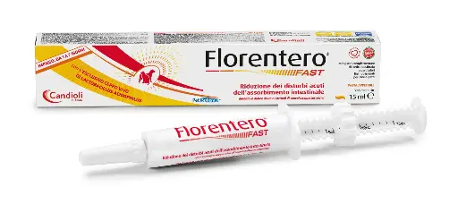 [PAE6491] Florentero FAST - Paste 