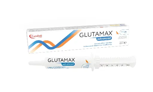 [PAE6485] Glutamax Advanced - Paste