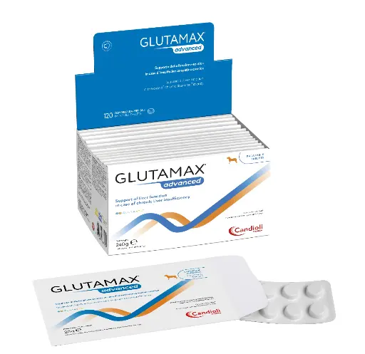 [PAE6486] Glutamax Advanced - Tabletten