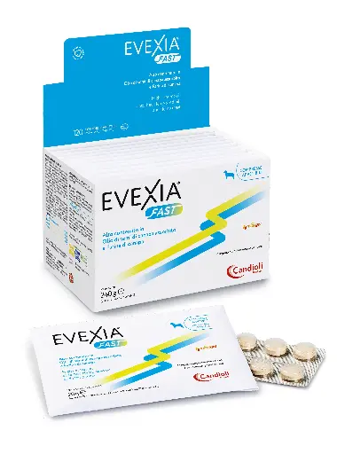 [PAE6487] Evexia Fast - tablets